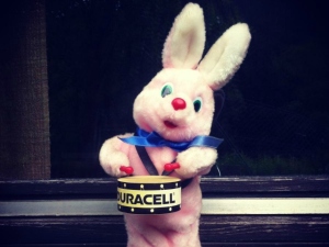 duracell-hase